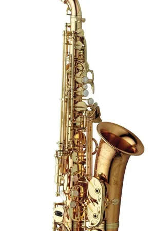 Très apprécié des clients - Yanagisawa Elite Bronze non Verni