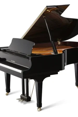Kawai GX5 - Très bien noté