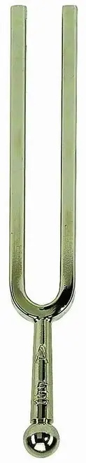 Prix promo - Diapason Wittner la 440 HZ
