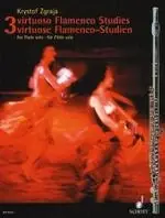 Zgraja K. Virtuoso Flamenco Studies Flute - Disponible dès maintenant