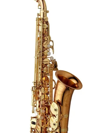 Tout juste ajouté | Yanagisawa Elite Bronze Verni