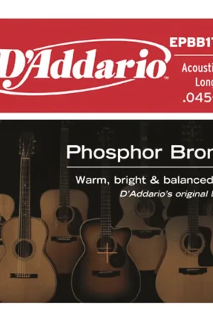 Produit phare | Jeu de Cordes Basse D'addario EPBB170-5 Phosphor Bronze