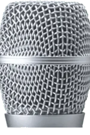 Grille Shure RPM226 - Préféré des clients