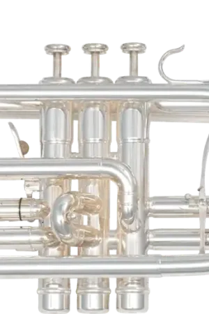 Cornet Sml Nation CO870-S | Expédition express