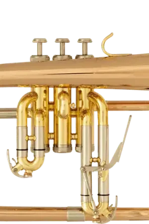 Qualité supérieure | Bugle Sml Prime BU600